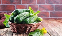 今日吃瓜每日必吃 吃瓜网每日大赛,揭秘吃瓜网每日大赛精彩瞬间